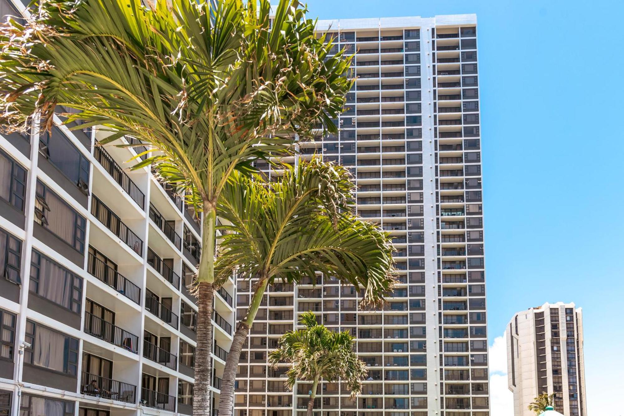 Diamond Head Views Retreat With Free Parking & Near Waikiki Beach! Honolulu Zewnętrze zdjęcie