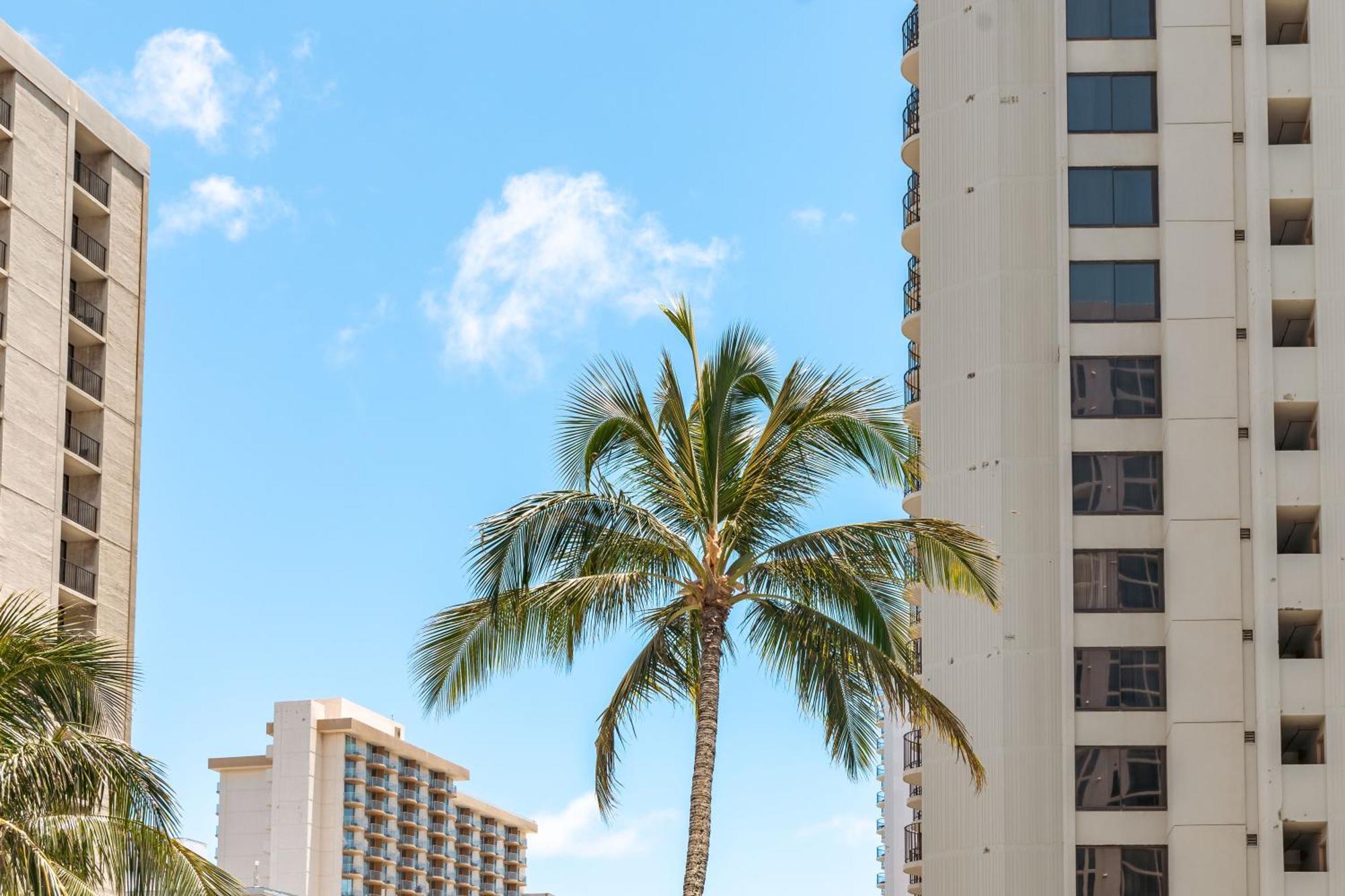 Diamond Head Views Retreat With Free Parking & Near Waikiki Beach! Honolulu Zewnętrze zdjęcie